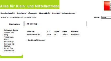 NS Lookup für eufeeds