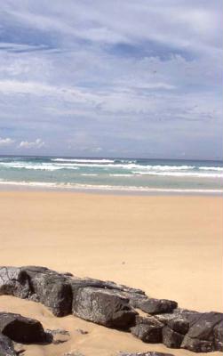 fraser island - die groesste sandinsel der welt