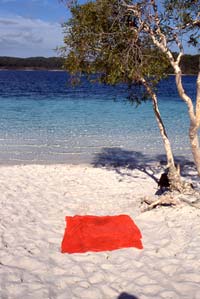 fraser island