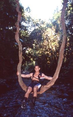 ich auf einer liane bei cape tribulation