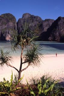 der traumstrand aus "the beach" auf der insel koh phi phi