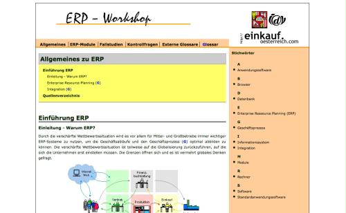 ERP-Workshop idv